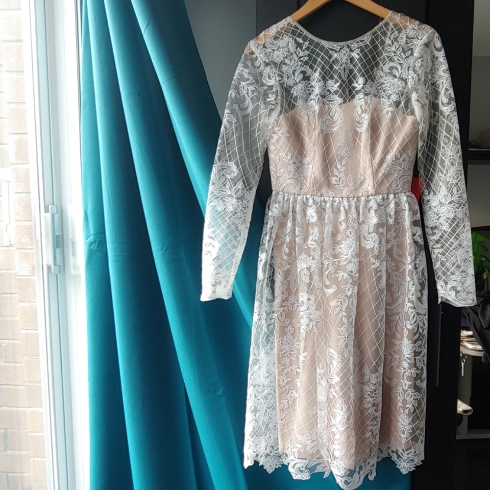 Monique Lhuillier Floral Lace Dress